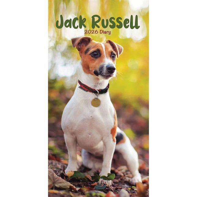 CarouselCalendars Jack Russell Terrier Slim Agenda 2026