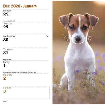 CarouselCalendars Jack Russell Terrier Slim Agenda 2027