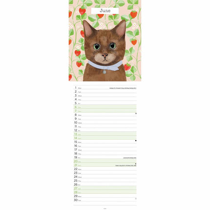 CarouselCalendars Katten Illustraties Kalender 2026 Slimline