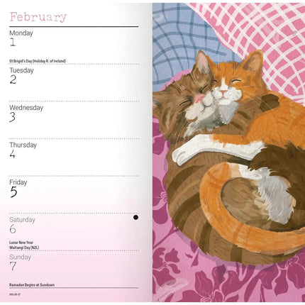 CarouselCalendars Katten Illustraties Slim Agenda 2027
