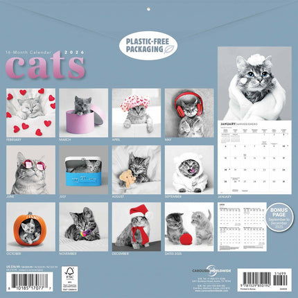 CarouselCalendars Katten Kalender 2026