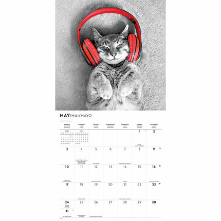 CarouselCalendars Katten Kalender 2026