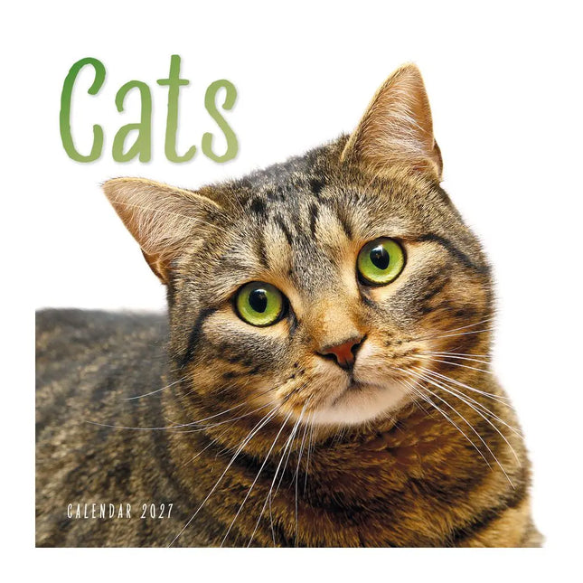CarouselCalendars Katten Kalender 2027
