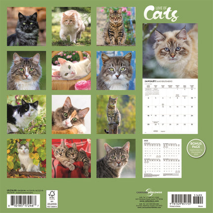 CarouselCalendars Katten Liefde Kalender 2026