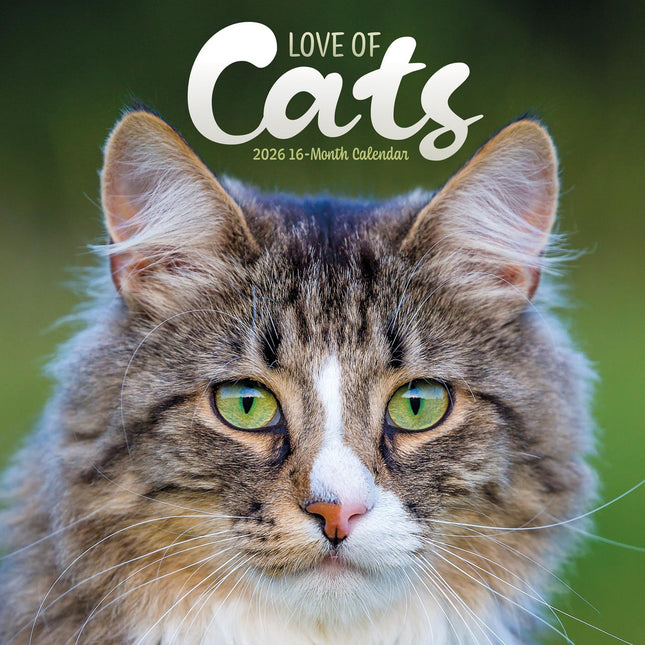 CarouselCalendars Katten Liefde Kalender 2026