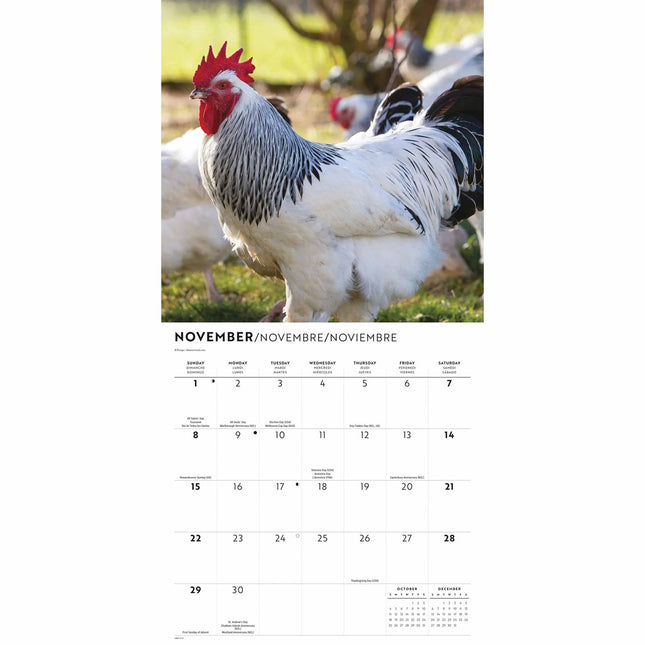 CarouselCalendars Kippen Kalender 2026