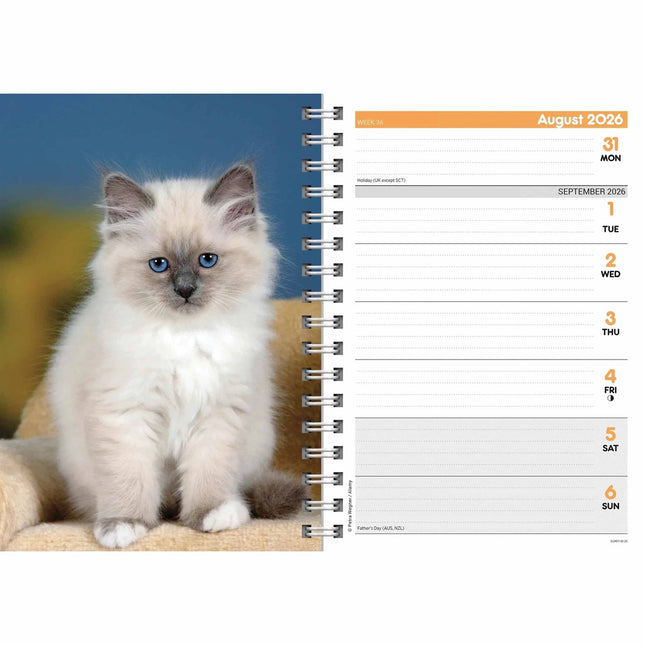 CarouselCalendars Kittens A5 Agenda 2026