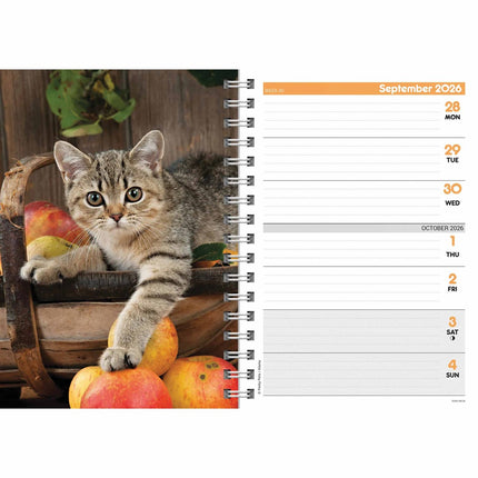 CarouselCalendars Kittens A5 Agenda 2026
