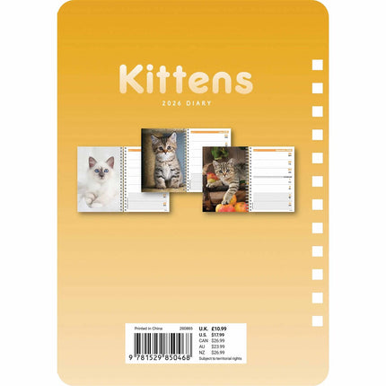 CarouselCalendars Kittens A5 Agenda 2026