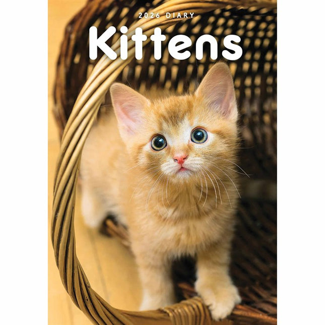 CarouselCalendars Kittens A5 Agenda 2026