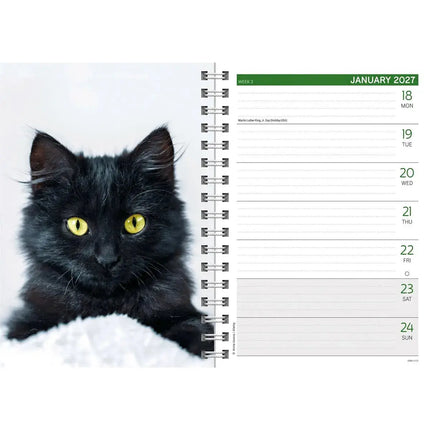 CarouselCalendars Kittens A5 Agenda 2027