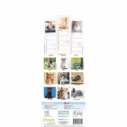 CarouselCalendars Kittens Kalender 2026 Slimline