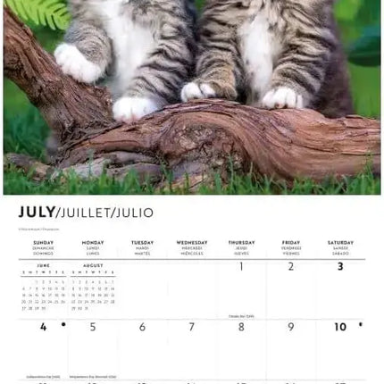 CarouselCalendars Kittens Kalender 2027