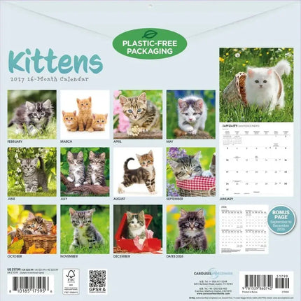CarouselCalendars Kittens Kalender 2027