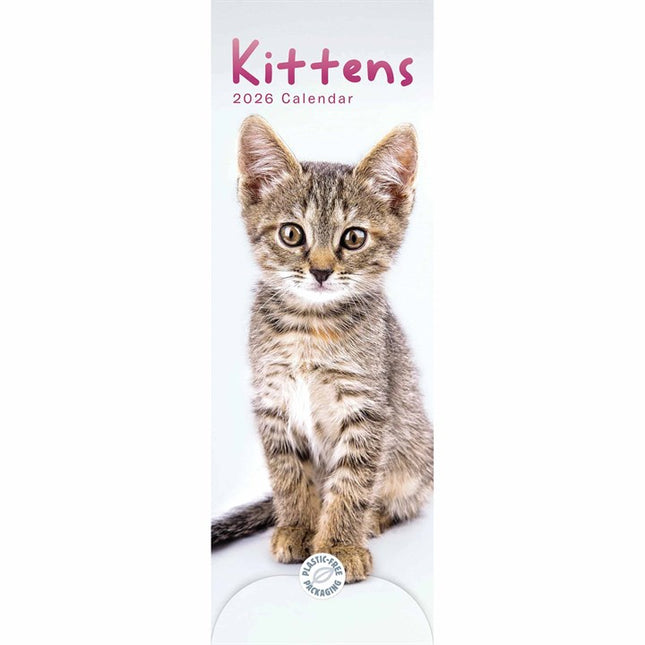 CarouselCalendars Kittens Kalender 2027 Slimline