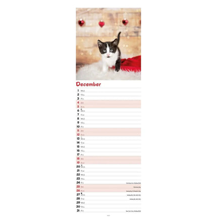 CarouselCalendars Kittens Kalender 2027 Slimline