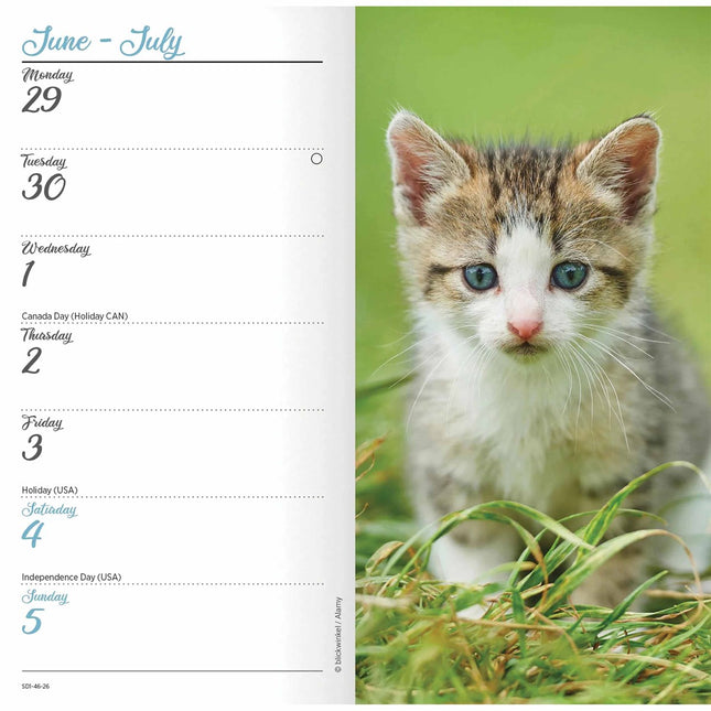 CarouselCalendars Kittens Slim Agenda 2026