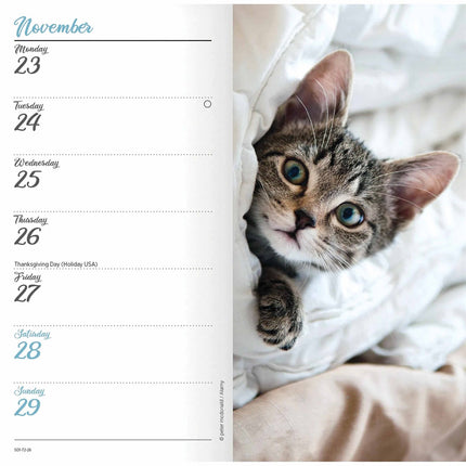 CarouselCalendars Kittens Slim Agenda 2026