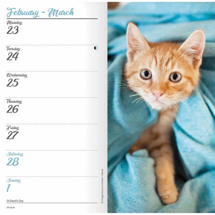 CarouselCalendars Kittens Slim Agenda 2026