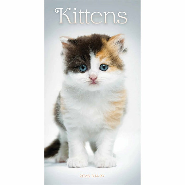 CarouselCalendars Kittens Slim Agenda 2026
