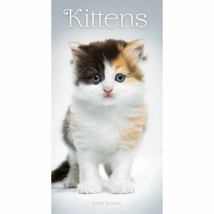 CarouselCalendars Kittens Slim Agenda 2026