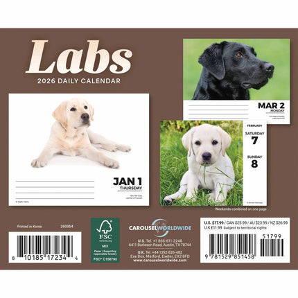 CarouselCalendars Labrador Retriever Scheurkalender 2026 Boxed