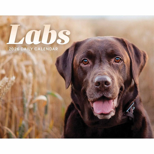 CarouselCalendars Labrador Retriever Scheurkalender 2026 Boxed