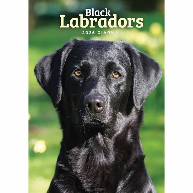 CarouselCalendars Labrador Retriever Zwart A5 Agenda 2026