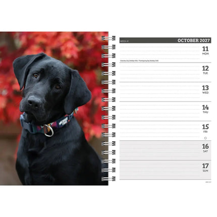 CarouselCalendars Labrador Retriever Zwart A5 Agenda 2027