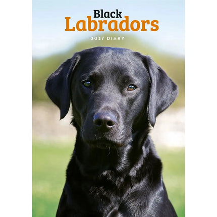 CarouselCalendars Labrador Retriever Zwart A5 Agenda 2027