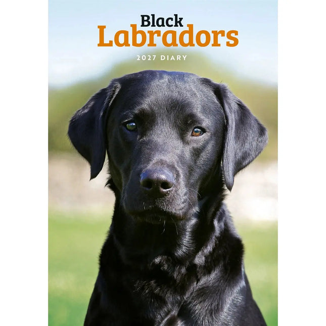 CarouselCalendars Labrador Retriever Zwart A5 Agenda 2027