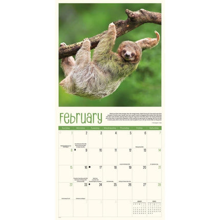 CarouselCalendars Luiaard Kalender 2026