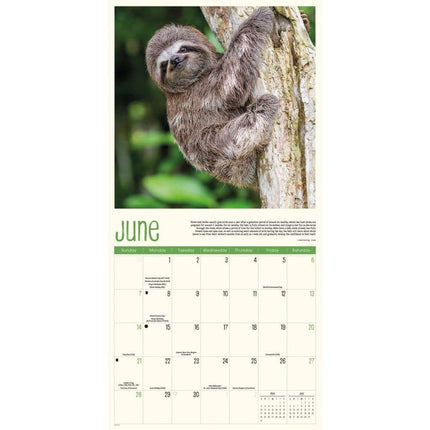CarouselCalendars Luiaard Kalender 2026