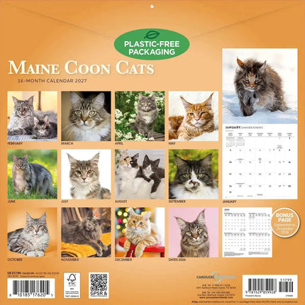 CarouselCalendars Maine Coon Kalender 2027