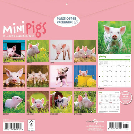 CarouselCalendars Mini Varkens Kalender 2026