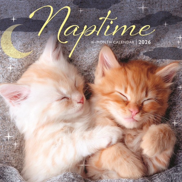 CarouselCalendars Nap Time Mini Kalender 2026