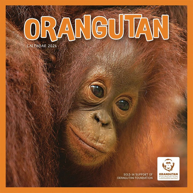 CarouselCalendars Orang-oetan Kalender 2026