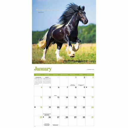 CarouselCalendars Paarden Kalender 2026