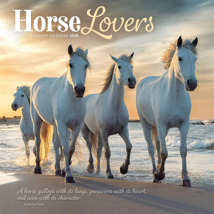 CarouselCalendars Paarden Kalender 2026