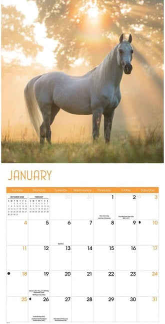 CarouselCalendars Paarden Kalender 2026