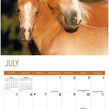 CarouselCalendars Paarden Kalender 2026