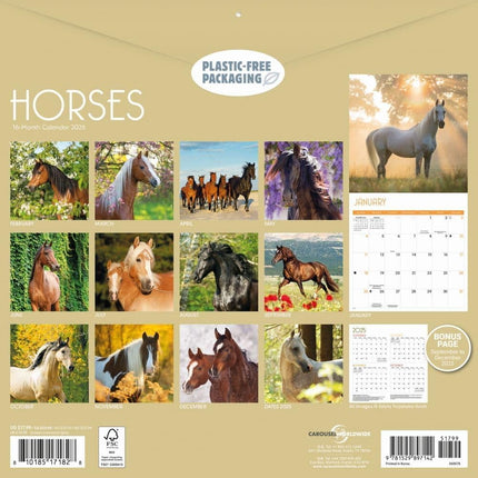 CarouselCalendars Paarden Kalender 2026