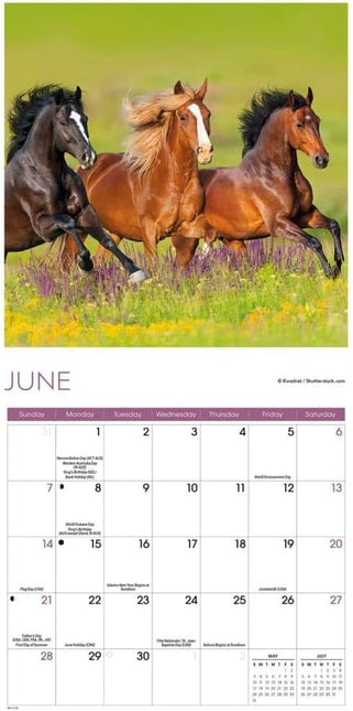 CarouselCalendars Paarden Kalender 2026 Mini