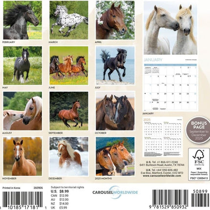 CarouselCalendars Paarden Kalender 2026 Mini