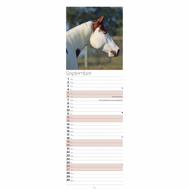 CarouselCalendars Paarden Kalender 2026 Slimline