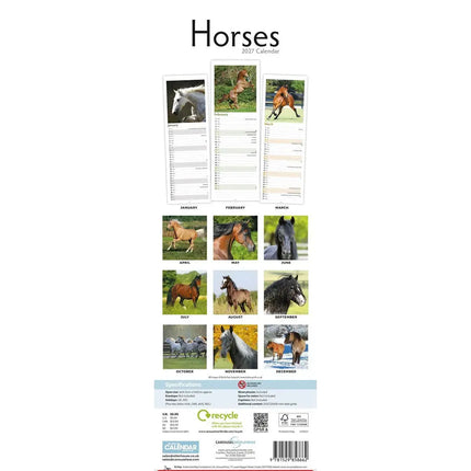 CarouselCalendars Paarden Kalender 2027 Slimline