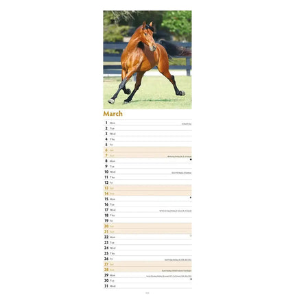 CarouselCalendars Paarden Kalender 2027 Slimline