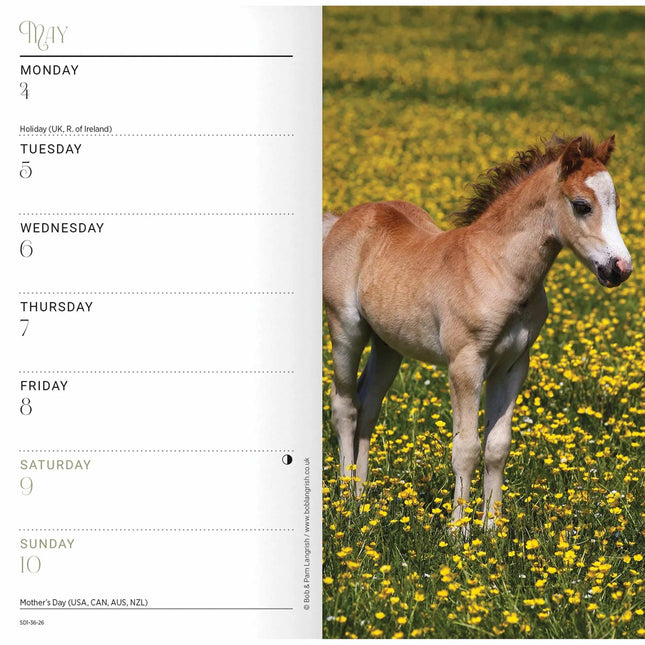 CarouselCalendars Paarden Slim Agenda 2026