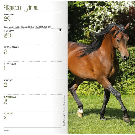 CarouselCalendars Paarden Slim Agenda 2027