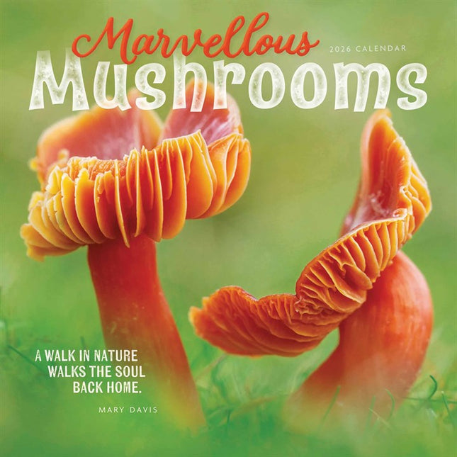 CarouselCalendars Paddenstoelen Kalender 2026